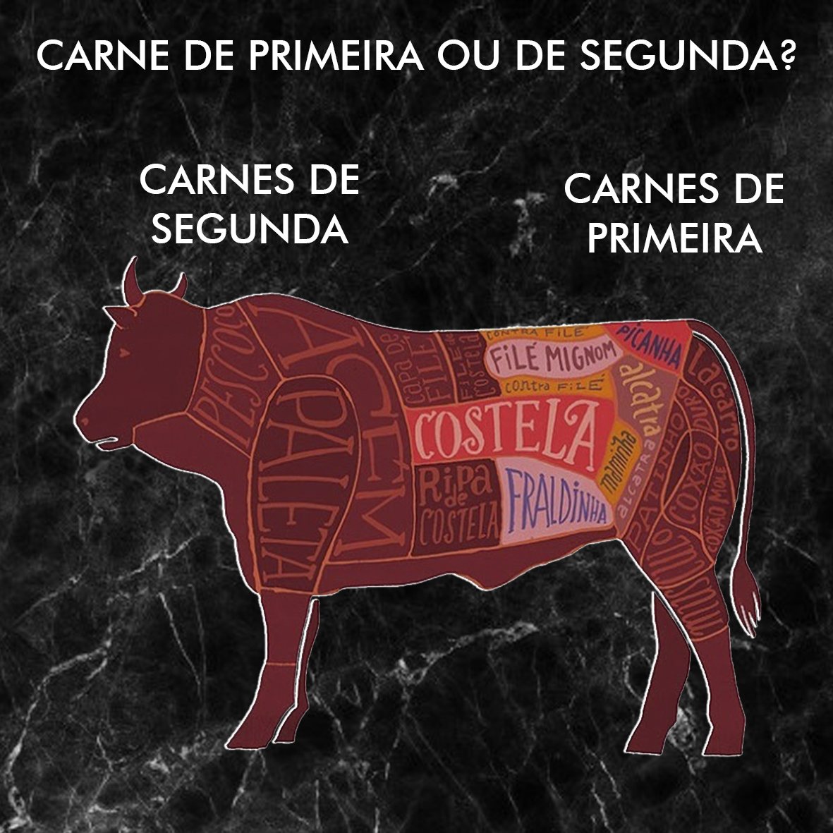 Cortes Da Carne Bovina Novilho Premium 5783